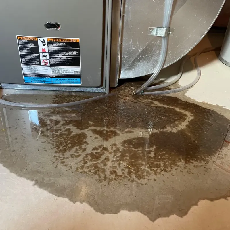 Appliance Leak Cleanup in Hanceville, AL